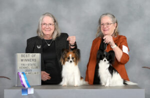 Missy - Select Female & Gypsy Best of Winners